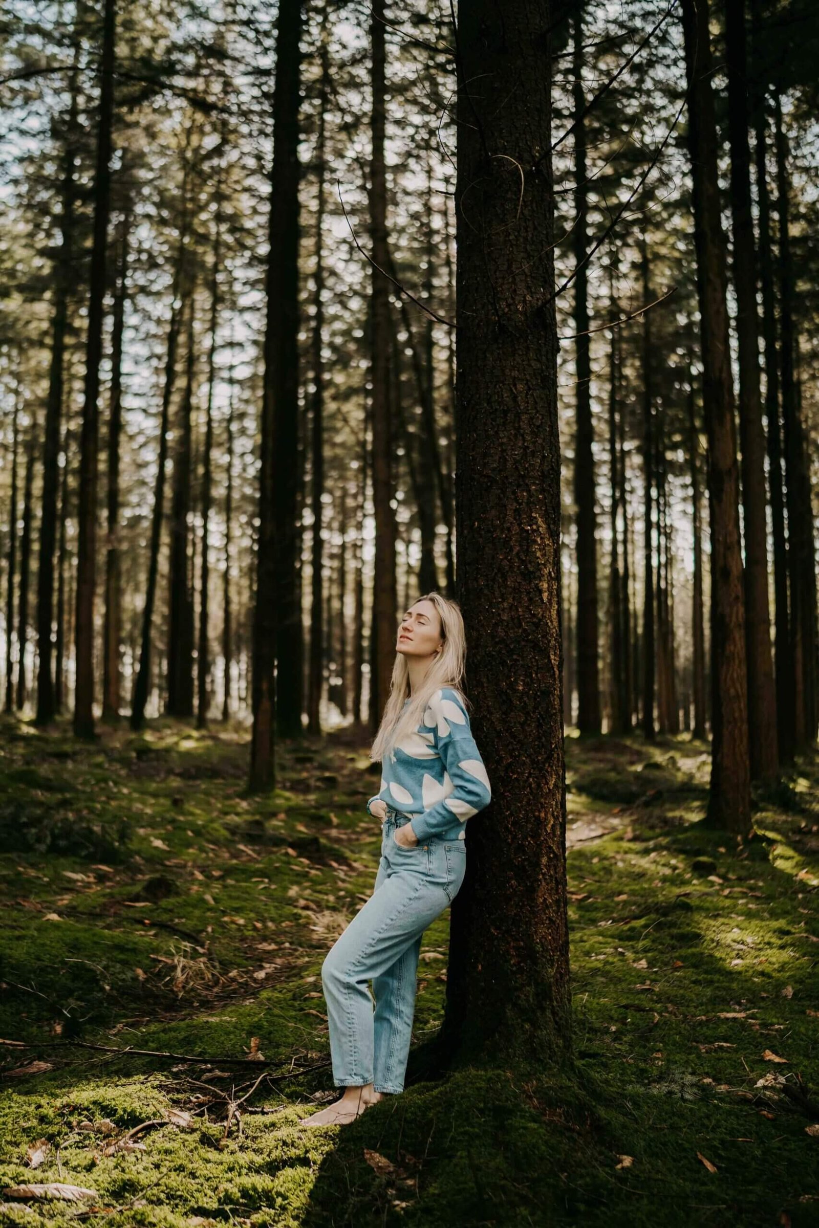 meditation-foret-energie